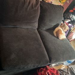 Free Couch
