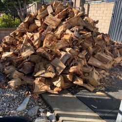 Eucalyptus Dry Firewood