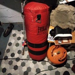 Everlast Punching Bag