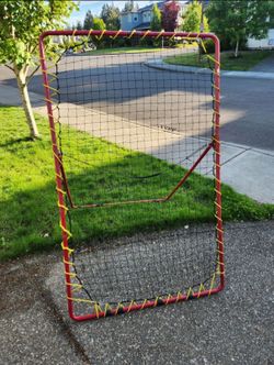 Ball rebounder