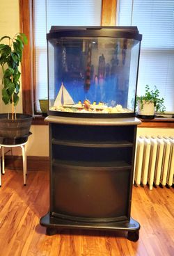 Bow Front Aquarium Tank with Stand
