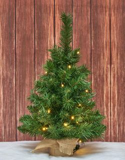 Osfvn Small Christmas Tree 2ft Prelit Battery Operated Timer Lighted Artificial Green Mini Xmas Pine Trees Decorations Tabletop Centerpiece Mantel Hom