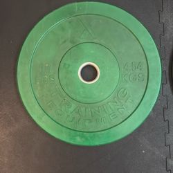 10 Lb Bumper plate (pair)
