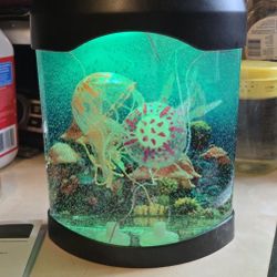 Cute Little Fish Tank