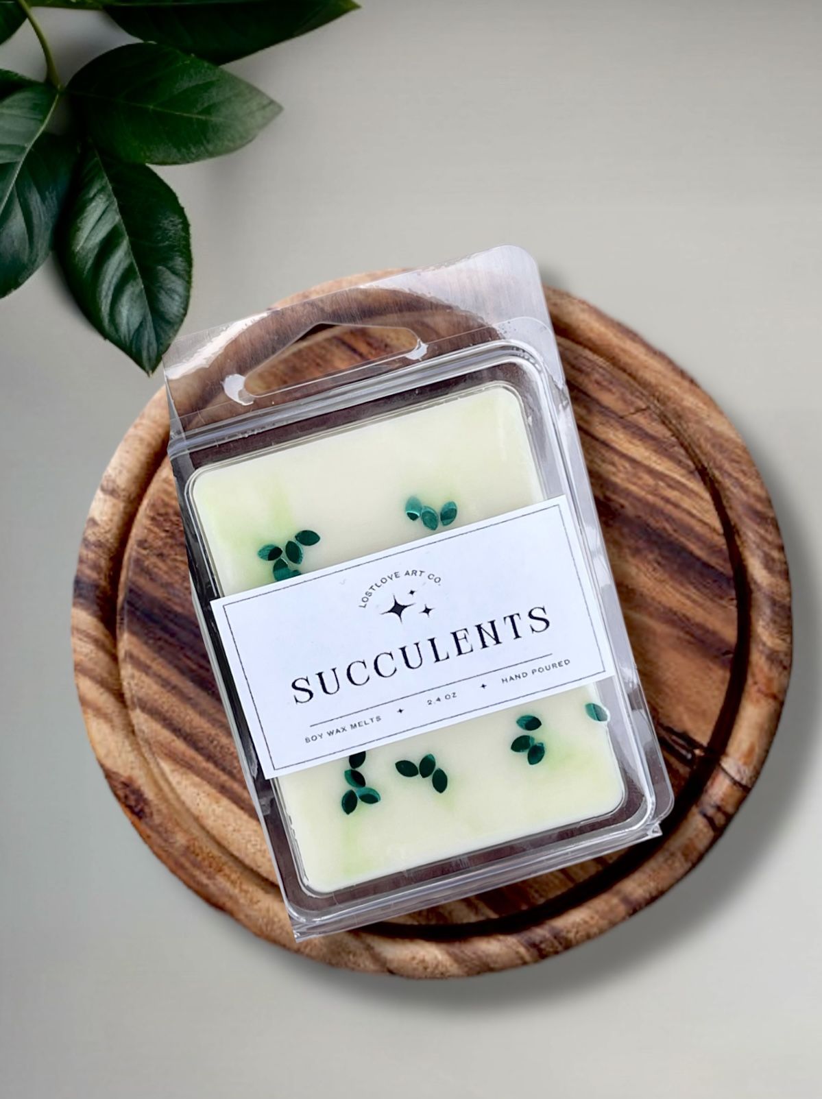 STRONG SCENTED 2 PACK Succulent Soy Wax Melts | Wax Tarts | Home Fragrance