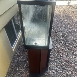 55’ Fish Tank W/ Stand