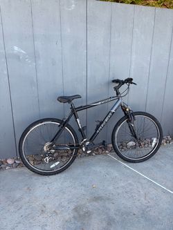 Trek 3900 Mountain Bike