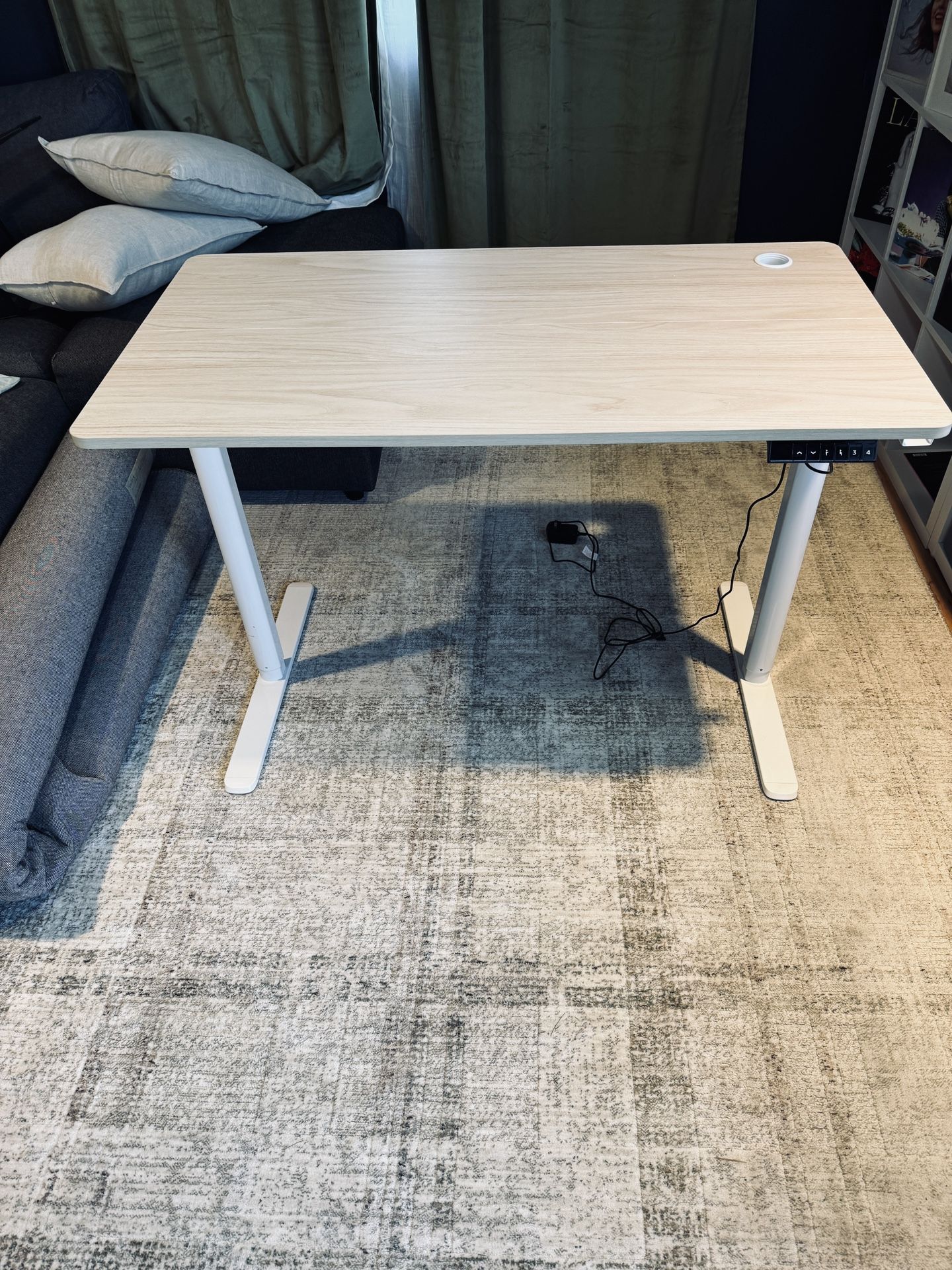 Electric Standing Desk