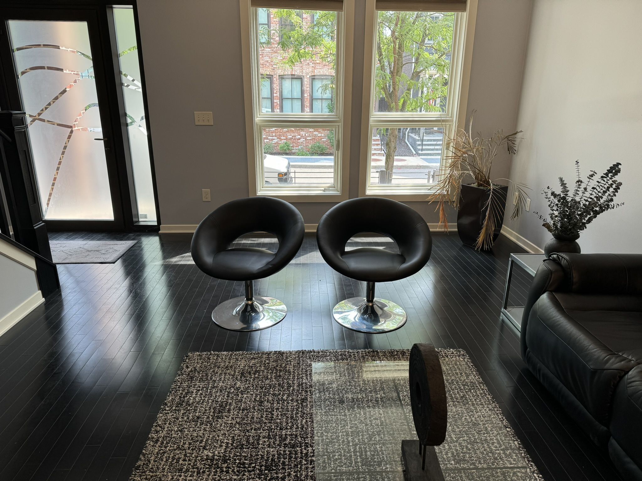 Living Room 2 Chairs, & Rug