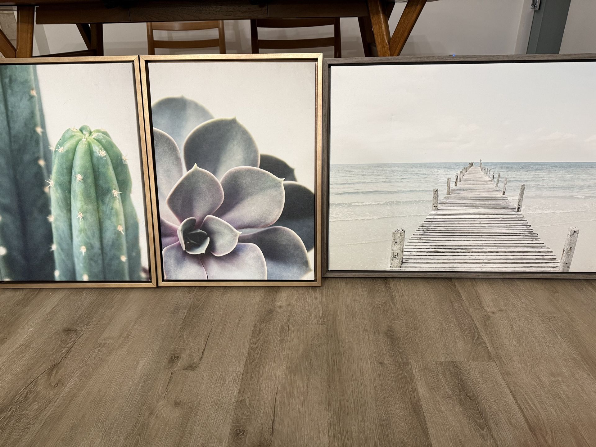 Canvas Art Prints (Succulents 18x24 and Ocean 33x23)