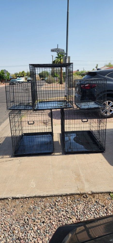 Dog Cage