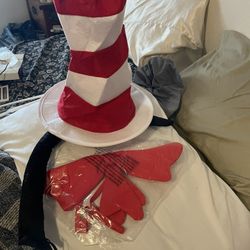 Cat În The Hat 