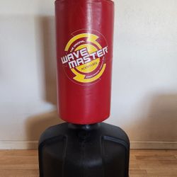 Century Wave Master Training/Kicking Bag
