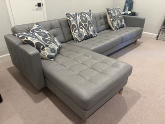 Sofa couch with Chaise