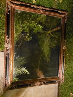 Black/Gold framed Mirror