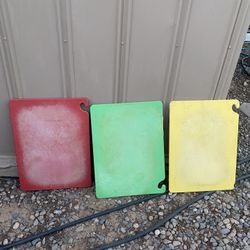 Thick, sturdy plastic restaurant cutting boards for meats or vegetables, measuring 24 inches long and 18 inches wide. I’m asking $25 each, firm price.