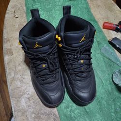 Jordan 12 Black Taxi 