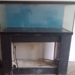 75 Gallon Fish Tank & Custom Stand