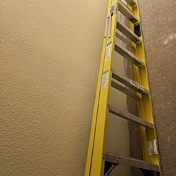 8 Foot Louisville Ladder