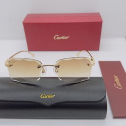 Panther Cartier Frame Sunglasses 