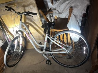 Trek Bike 