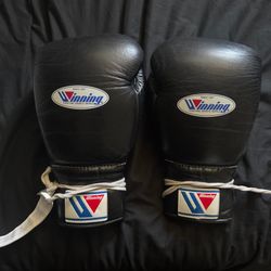 Winning Boxing Gloves