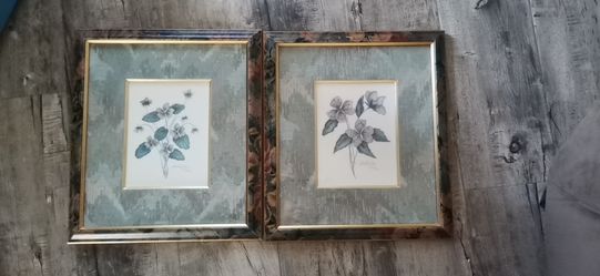 Framed pictures