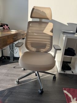Branch Ergonomic Chair With Headrest
