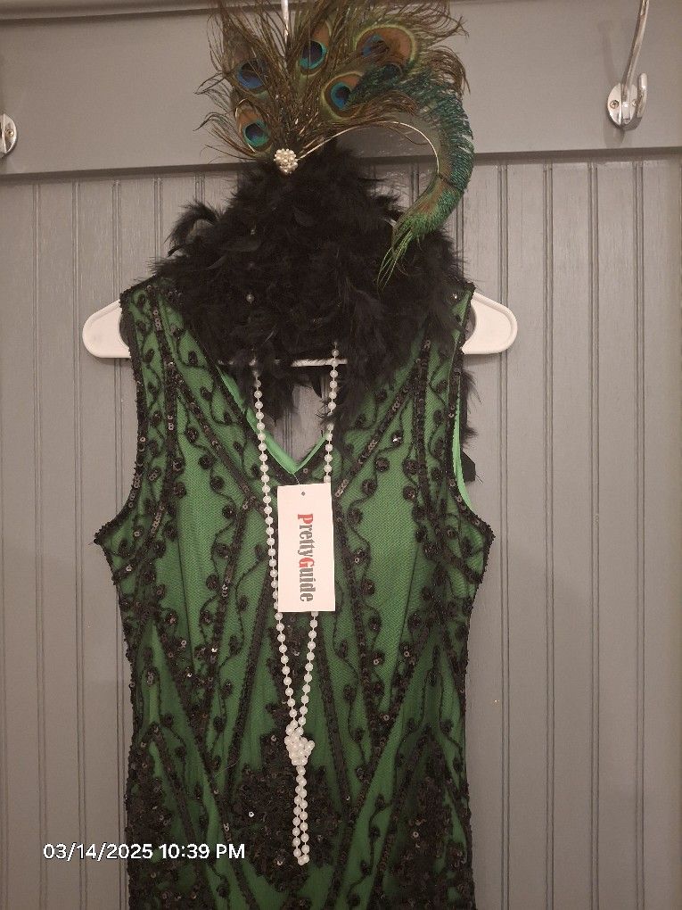 Roaring 20's Flapper Dress. Never Worn!