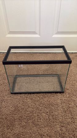aquarium tank