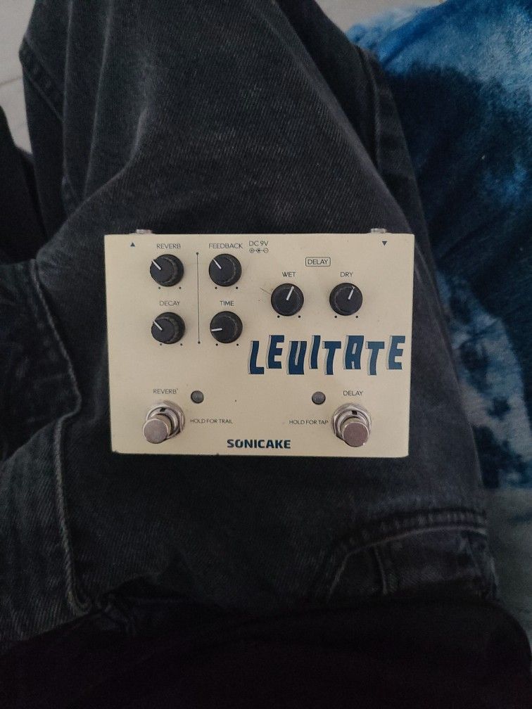 Reverb And Delay Pedal
