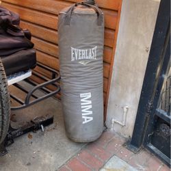 Punching Bag 