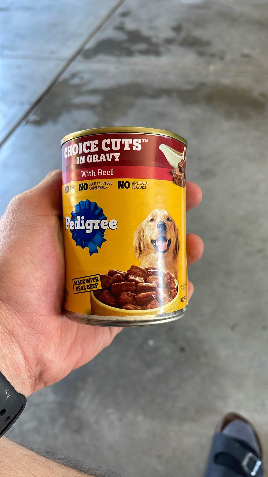 Pedigree 12 Pack 