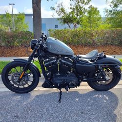 Harley Davidson Iron Custom 