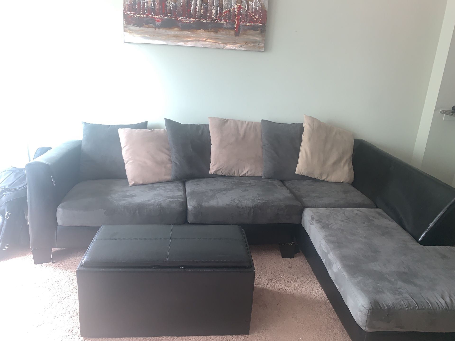 Sectional Couch