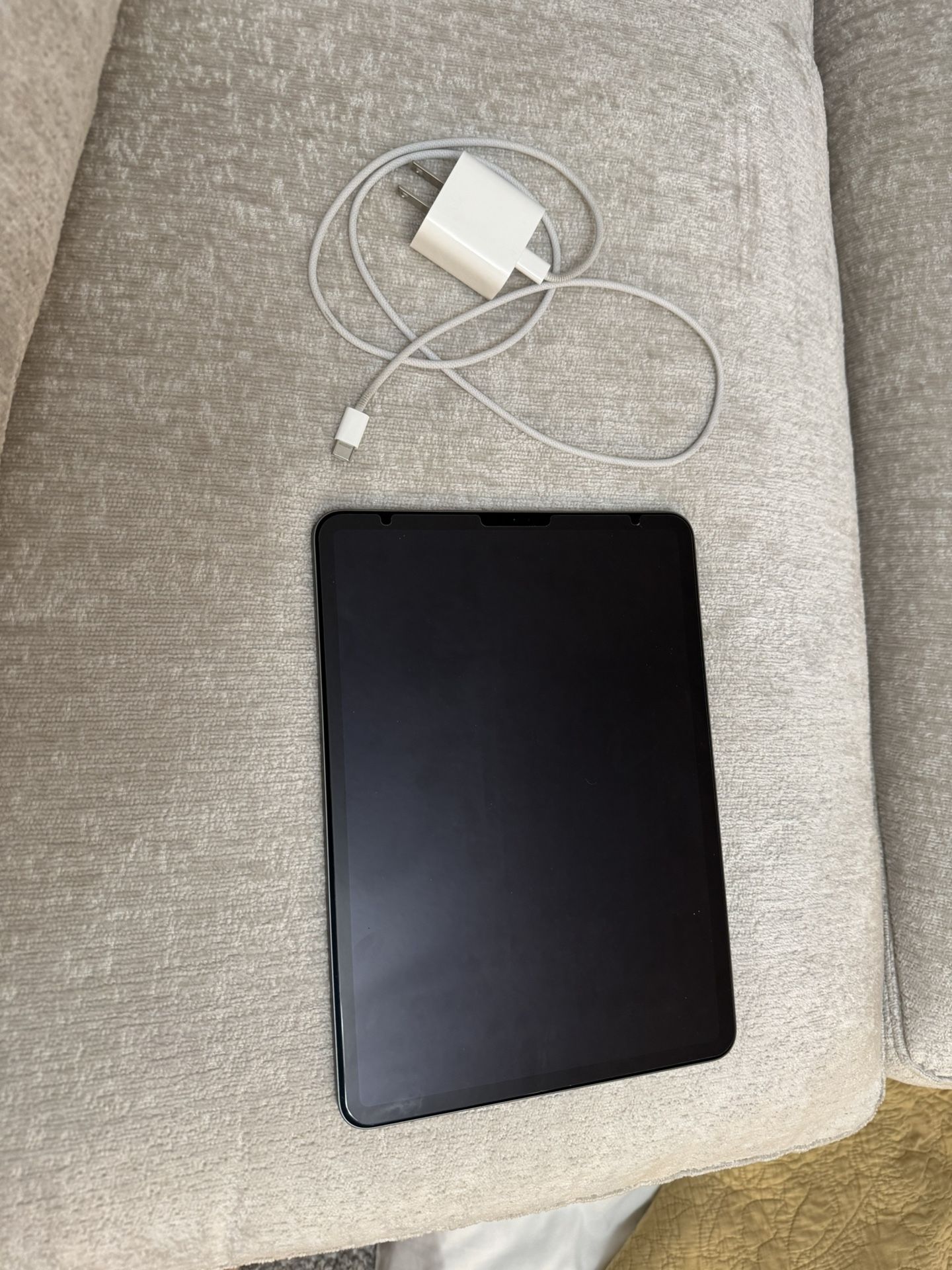 Apple iPad Pro 11 (256 GB) In Like New Condition