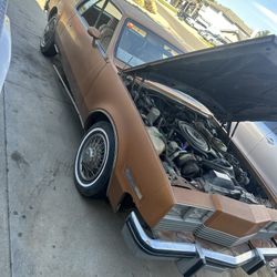 1981 Oldsmobile 