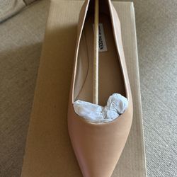 Steve Madden Pointed Toe Flat Shoe