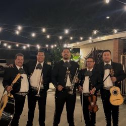 Vihuela Violín Mariachi 