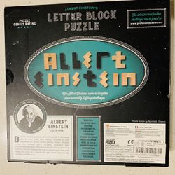 Einstein IQ wood Puzzle Game