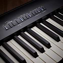 Roland Fp-30