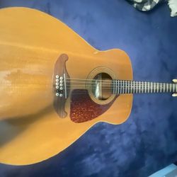 Classical Guitar 12 String 