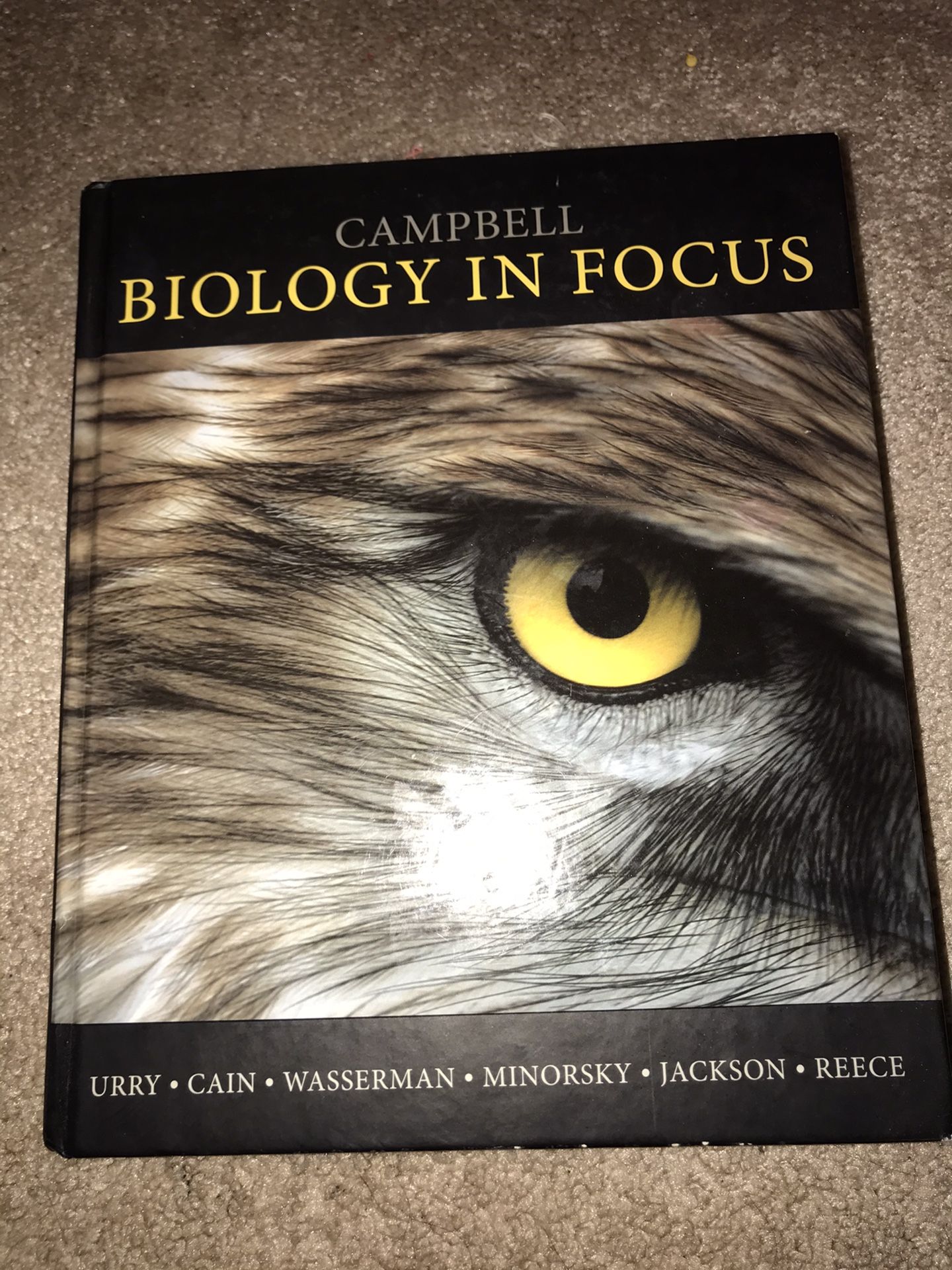 Biology in Focus