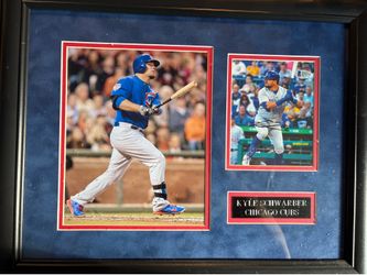 Kyle Schwarber cubs autographed flat
