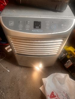 LG Dehumidifier with Auto Restart