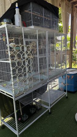 Bird Flying Cage Non Toxic