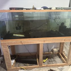 Fish Tanks And Accessories 