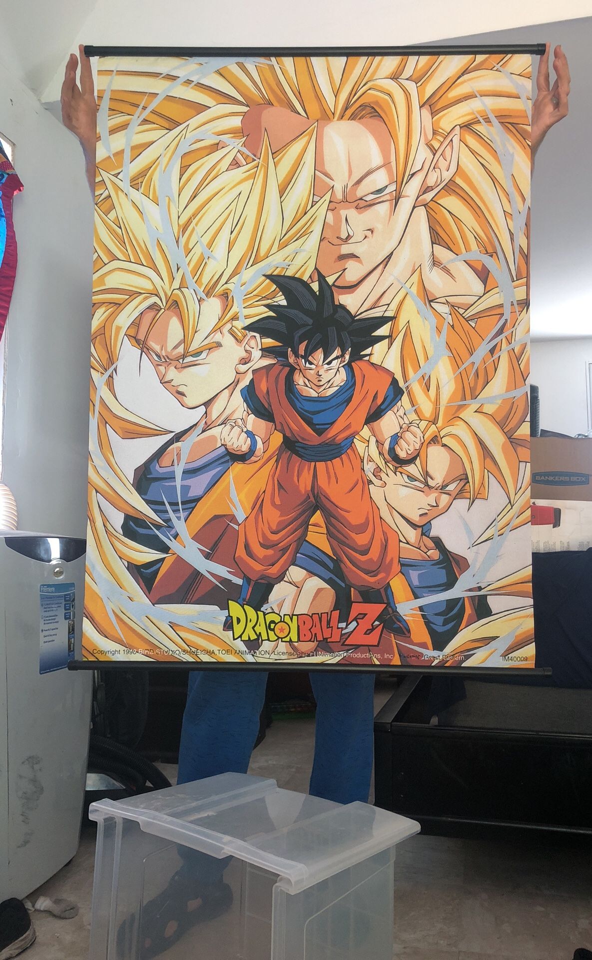 Dragon ball Z scroll poster