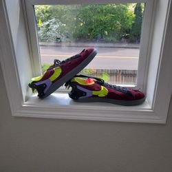 Nike Sb Shoes