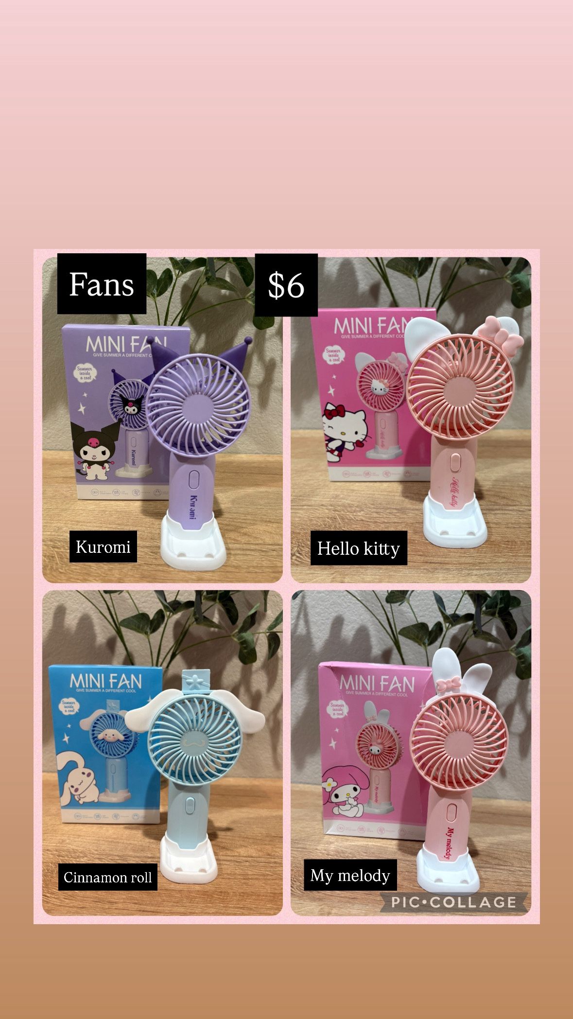 Sanrio Character Fans